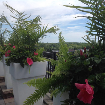 Terrasses De La Fonderie